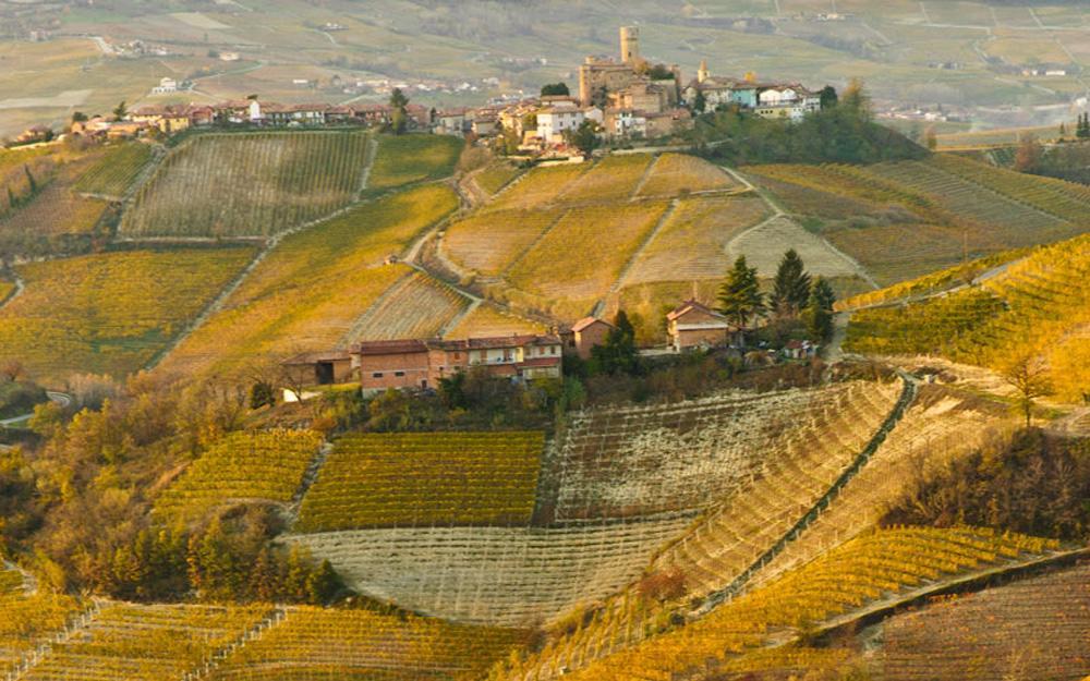 Hotel Langhe & Monferrato Костільйоле-д'Асті Екстер'єр фото